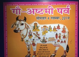 gau ashtmi