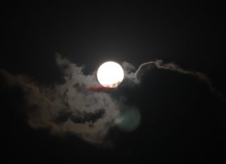 Super Pink Moon: दिखा साल का सबसे बड़ा और चमकदार चांद देखे जालंधर से तस्वीरें