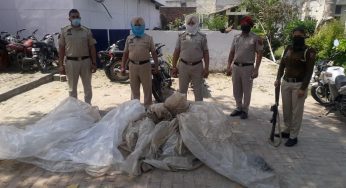 जालन्धर ग्रामीण पुलिस द्वारा शाहकोट के पास के गाँव से 60,000 मिलीलीटर लाहन बरामद पुलिस द्वारा अमन कानून की स्थिति पर रखी जा रही नजर- एस.एस.पी.