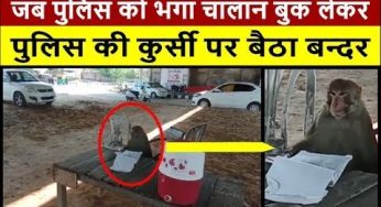 हो गया पुलिस विच भर्ती नी मैं – बंदर बैठा चालान काटने, ट्रैफिक पुलिस कर्मियों के भगाने में छूटे पसीने
