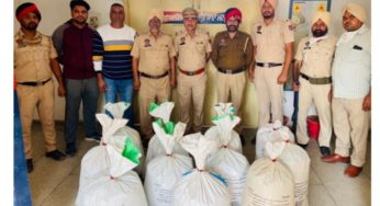 जम्मू-कश्मीर से चूरा पोस्त ला जालंधर में करते थे होम डिलीवरी , जालंधर पुलिस ने पकडे दो तस्कर