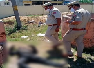 जालंधर की मकसूदां सब्जी मंडी में से मिला शव, जांच में जुटी पुलिस जालंधर की मकसूदां सब्जी मंडी के ट्रीटमेंट प्लांट में मिले शव की जांच करने पहुंचे पुलिसकर्मी