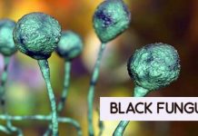 black-fungus jalandhar