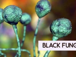 black-fungus jalandhar