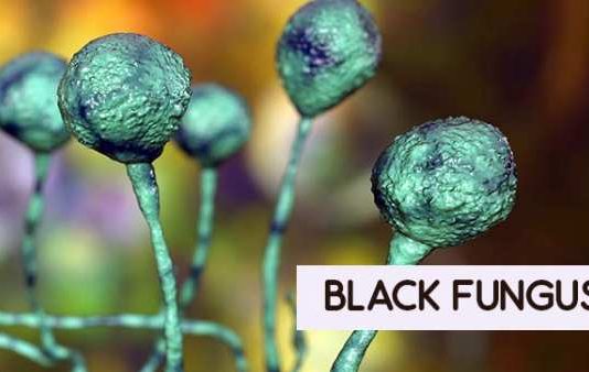black-fungus jalandhar