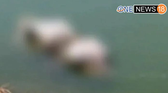 बिहार के बक्सर इलाके की खौफनाक ख़बर, गंगा किनारे मिलीं 40 से ज्यादा लाशें, जानिए पूरा मामला