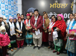 raman arora aam aadmi party jalandhar cantral