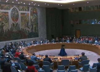 UNSC में बोला भारत-यूक्रेन में फंसे 20 हजार से ज्यादा भारतीय छात्र, वापसी के लिए सरकार कर रही कोशिश