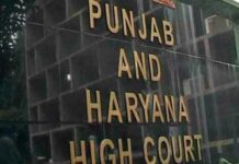 punjab and haryana high court