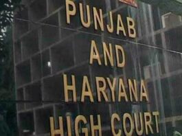 punjab and haryana high court
