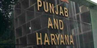 punjab and haryana high court