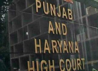punjab and haryana high court