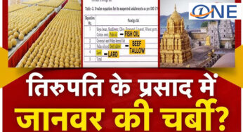 Tirupati Prasadam:मंदिर को सप्लाई किए गए घी में मछली का तेल मिले होने की पुष्टि हुई?NDDB गुजरात की जांच रिपोर्ट में ये खुलासा