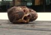human skull found in amritsar punjab