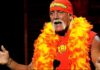hulk hogan the wwe wrestler