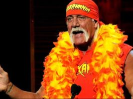 hulk hogan the wwe wrestler
