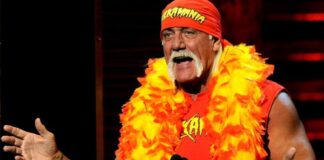 hulk hogan the wwe wrestler