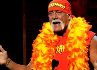 hulk hogan the wwe wrestler