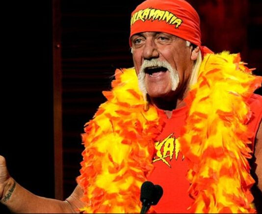 hulk hogan the wwe wrestler