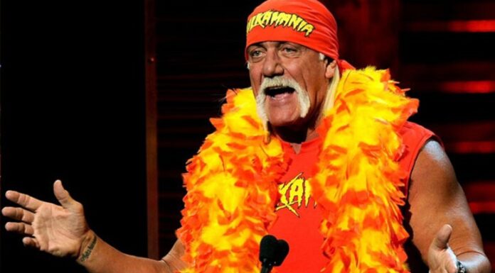 hulk hogan the wwe wrestler