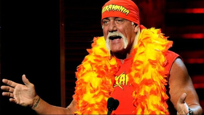 hulk hogan the wwe wrestler
